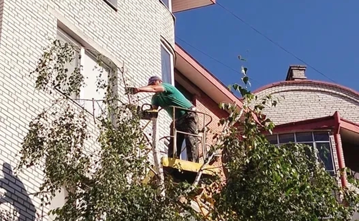 Чистка ділянок! Зрізання дерев! Косіння трави!