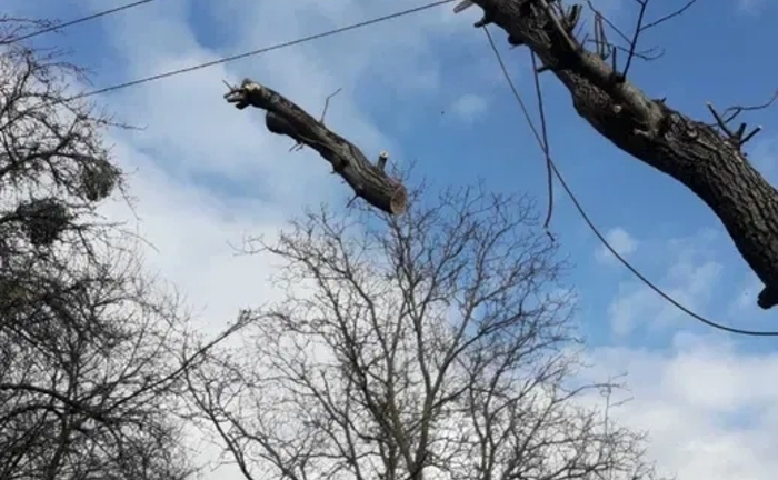Зрізання зрізка дерев, чистка даху від снігу