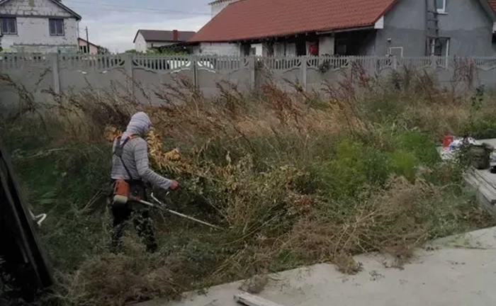 Приберемо ваше подвір'я або ділянку, якість, акуратність