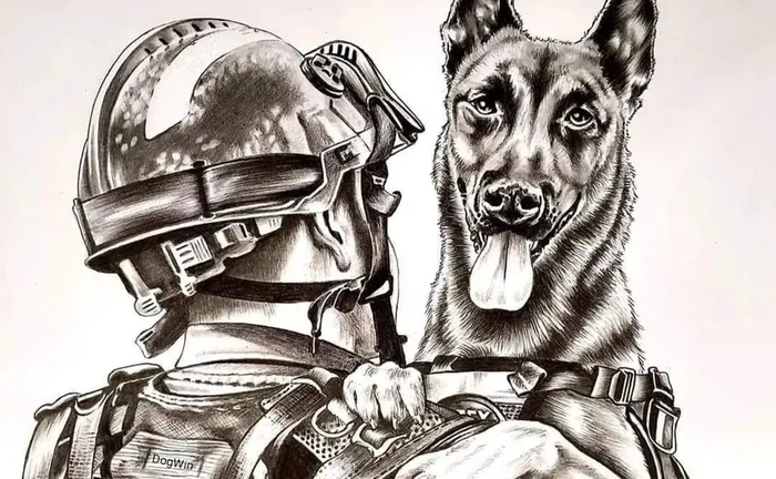 Підготовка бельгійська вівчарка малінуа навчання з кiнологом з нуля