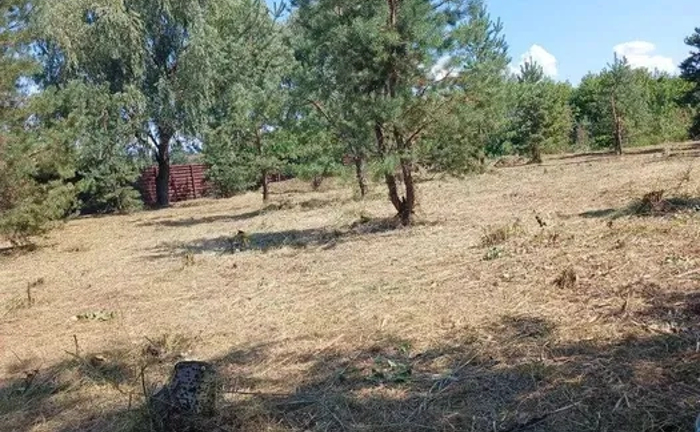 РОЗЧИЩЕННЯ ДІЛЯНКИ, Прибирання території, ПОКОС, СПИЛ ДЕРЕВ, Порослі