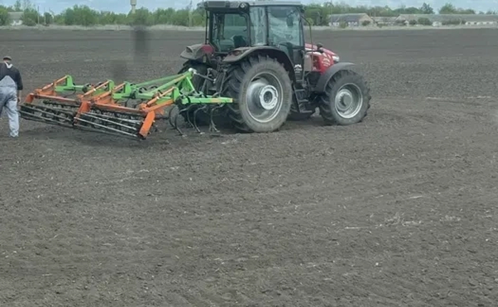 Саджання Кукурузи Саджання Кукурузи
