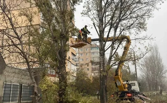 Розчищення ділянки від дерев поросли