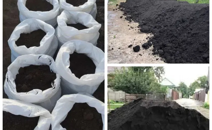 Чернозем грунт чернозём земля Доставка чернозема чорнозьом перегній