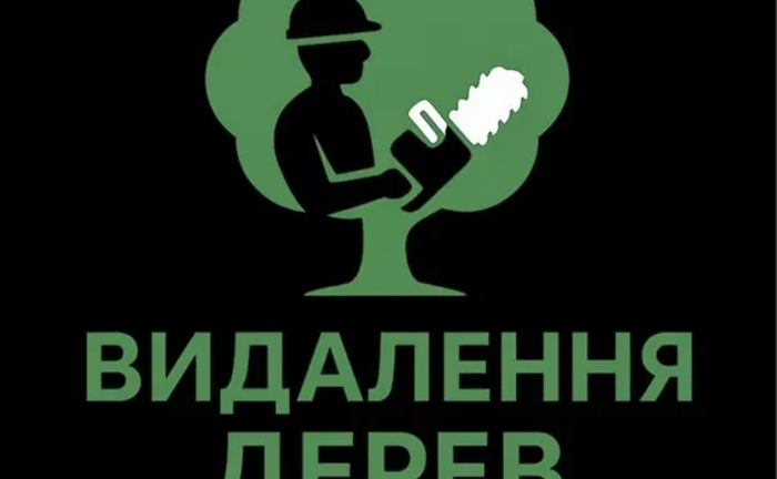 Спил дерев / спил дерева. Професійне видалення дерев та аварійних гілок.
