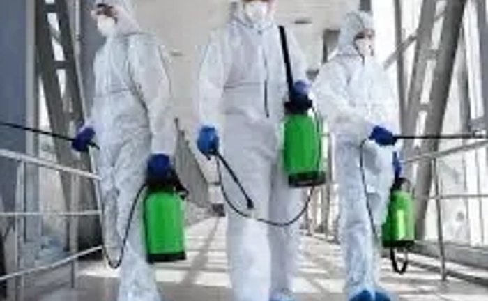 Знищення тарганів, клопів, бліх, дератизація мишей, щур Знищення тарганів, клопів, бліх, дератизація мишей, щур