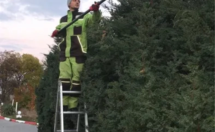 Садівник, обрізка дерев, топіар, ниваки, стрижка туй, ялівець Садівник, обрізка дерев, топіар, ниваки, стрижка туй, ялівець