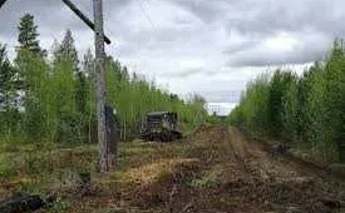 Расчистка трасс линий электропередач (ЛЭП) сучасно, ефективно з нами! Расчистка трасс линий электропередач (ЛЭП) сучасно, ефективно з нами!