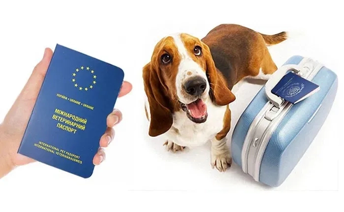 Срочные документы для животных проконсультирую Срочные документы для животных проконсультирую