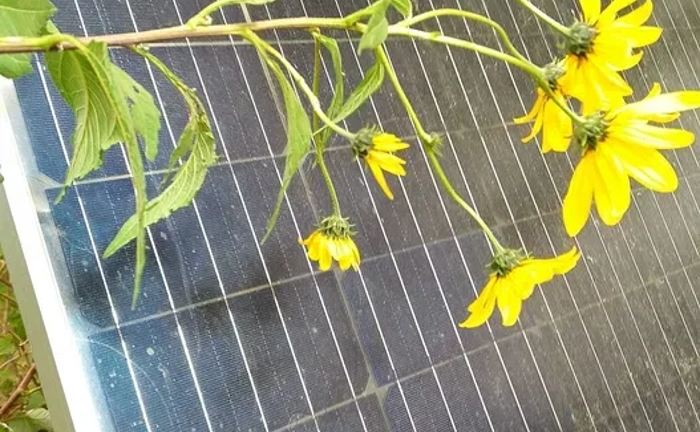 Монтаж сонячних панелей Монтаж сонячних панелей