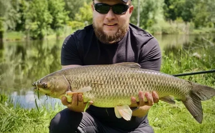 Автопідбір • Огляд Авто перед покупкою • Комп'ютерна діагностика Автопідбір • Огляд Авто перед покупкою • Комп'ютерна діагностика