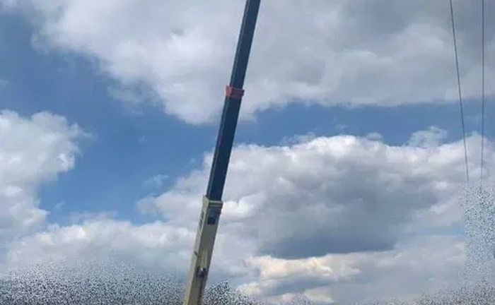 Послуги телескопічного навантажувача (погрузчика), люлька, ківш, віли