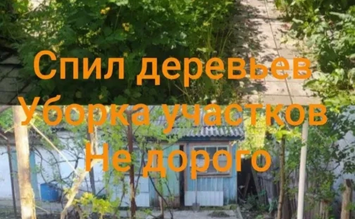 Спил дерев будь-якої складності