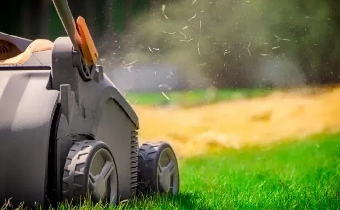 Аерація, Вичісування та відновлення газону – здоровий трав’яний покрив Аерація, Вичісування та відновлення газону – здоровий трав’яний покрив