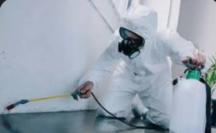 Знищення клопів тарганів оси блохи шершні миші Знищення клопів тарганів оси блохи шершні миші