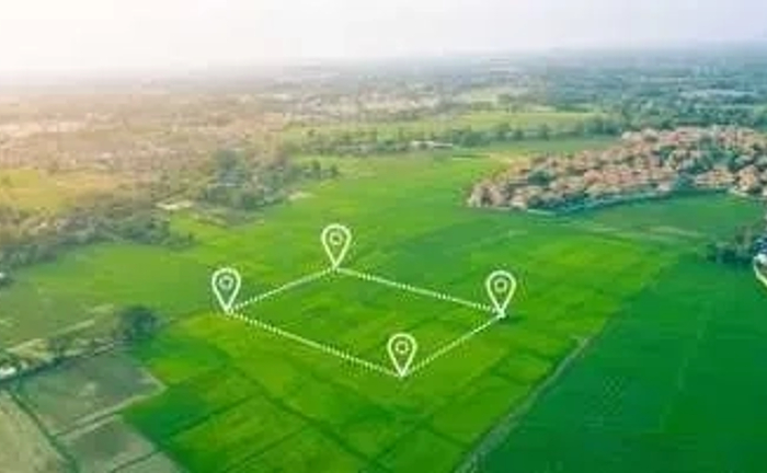 Винесення меж земельної ділянки