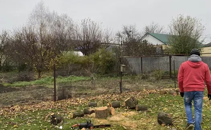 Зрубування дерев,Розпилювання на дрова,Формування крони Зрубування дерев,Розпилювання на дрова,Формування крони