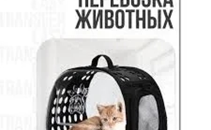 Допомога у перевезенні тварин до Європи та по Україні від 1 500 грн.