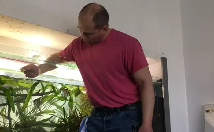 Услуги аквариумиста. Уход за аквариумом. 700 грн. Договірна