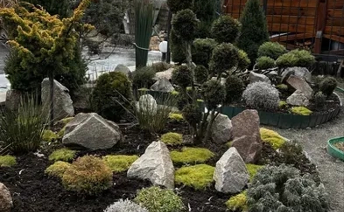 Ландшафтний дизайн вашої мрії: Створю оазис затишку на вашій ділянці. Ландшафтний дизайн вашої мрії: Створю оазис затишку на вашій ділянці.