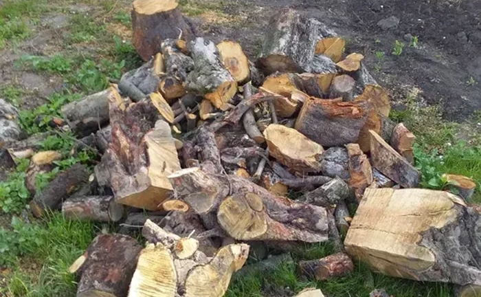 Видалення дерев,кущів,порізка дров,корчування пеньків. Видалення дерев,кущів,порізка дров,корчування пеньків.