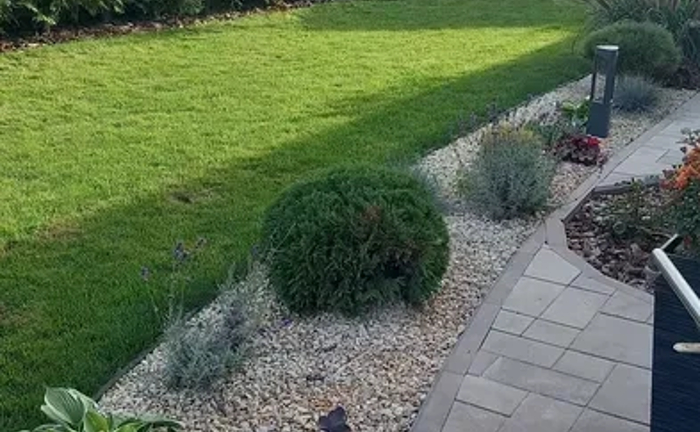 Ескіз ділянки, ландшафтний дизайн, догляд за садом!