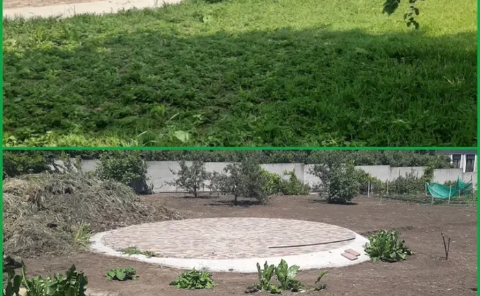 Спил дерев/розчищення ділянок/Прибирання території/розчищення ділянки Спил дерев/розчищення ділянок/Прибирання території/розчищення ділянки