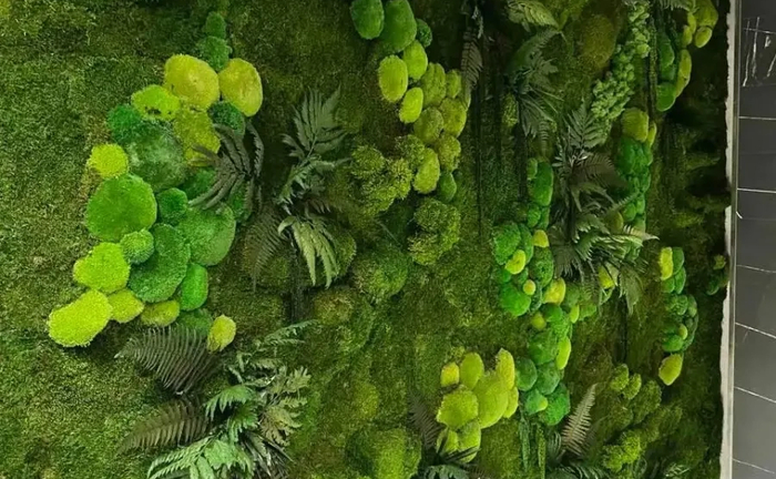 Жива стіна з рослин у вітальню, спальню. Жива композиція із квітів Жива стіна з рослин у вітальню, спальню. Жива композиція із квітів