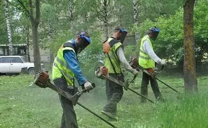 Покос трави, зріжу дерева, кущі, чагарники. Розчищення ділянки. Покос трави, зріжу дерева, кущі, чагарники. Розчищення ділянки.