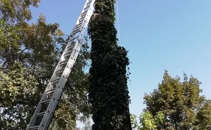 Лестницы 3х14с.10м. 3х12с.8м. Трасформер 5м. Лестницы 3х14с.10м. 3х12с.8м. Трасформер 5м.