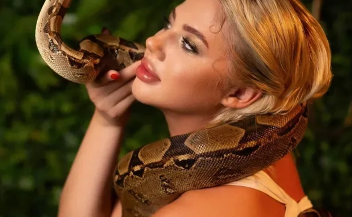 Удав для фото Удав для фото