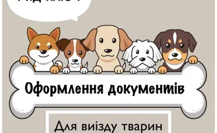 Документи для тварин. Титри. Ветеринарні документи. Паспорт для тварин Документи для тварин. Титри. Ветеринарні документи. Паспорт для тварин