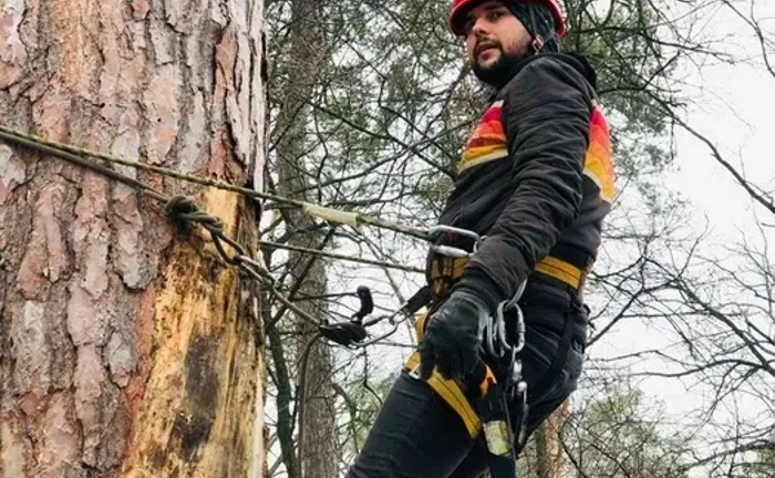 Спилити дерево Харків, область, видалення небезпечних гілок Спилити дерево Харків, область, видалення небезпечних гілок
