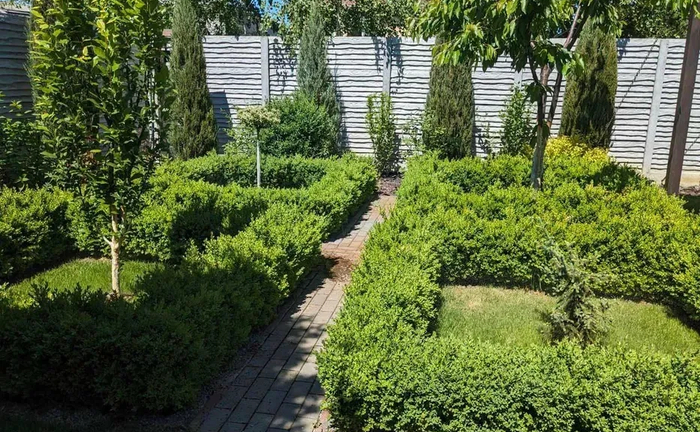 Садівник, газон, обрізка, обробка, топіарі, ниваки, стрижка туй Садівник, газон, обрізка, обробка, топіарі, ниваки, стрижка туй