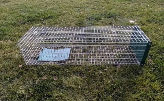 Котоловка, пастка, клітка для відлову котів, живоловка, ловушка