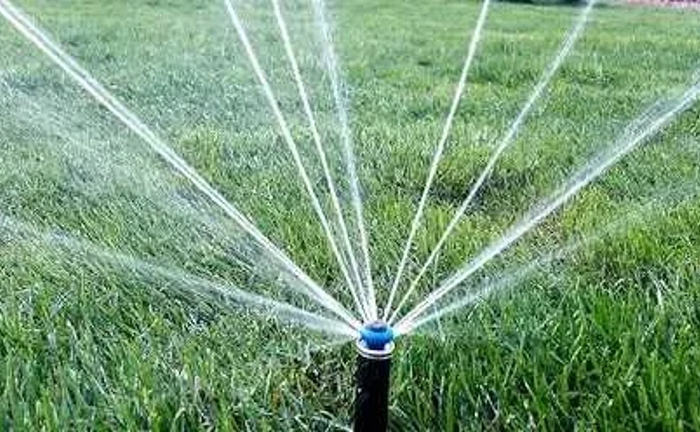 Автоматичний полив, рулонний газон