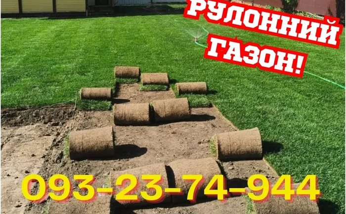 ДОВГОВІЧНИЙ ГАЗОН! Укладка рулонного газону та сіяний під КЛЮЧ!
