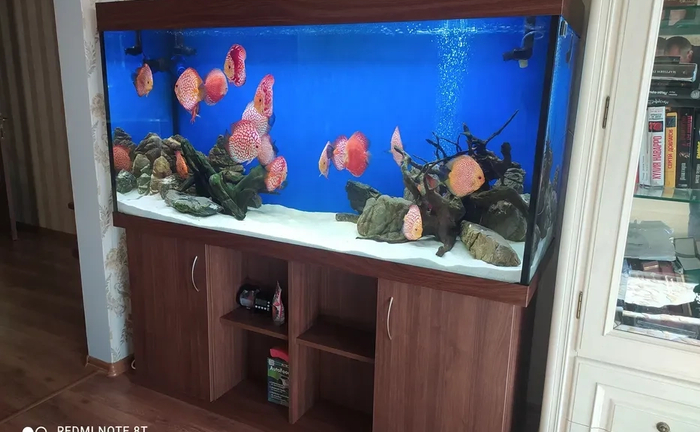 Професійне виготовлення акваріумів під індивідуальне замовлення будь-яких форм, розмірів та складності конструкції