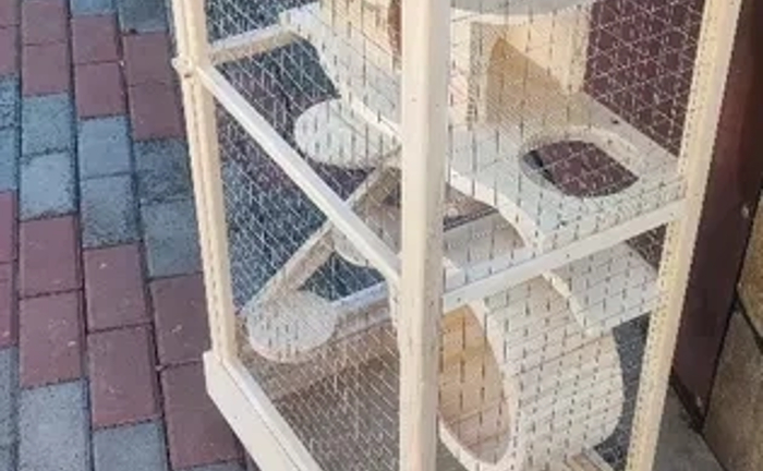 Виготовляємо під замовлення клітки для шиншили, білки ,ласки ,дегу