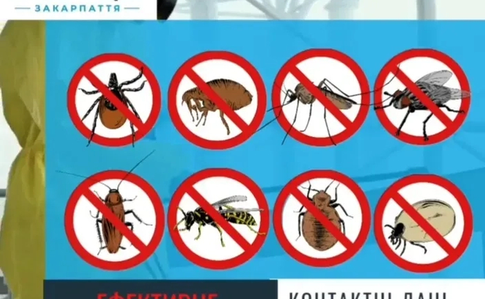 Професійне знищення тарганів, щурів, клопів, мурашок та інших шкідник Професійне знищення тарганів, щурів, клопів, мурашок та інших шкідник