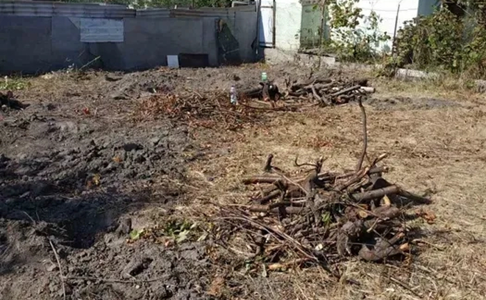 Прибирання ділянок від 1200 грн/сотка Прибирання ділянок від 1200 грн/сотка