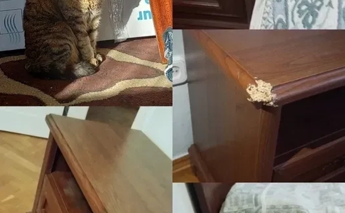 Реставрація і ремонт Дверей, Вікон та Меблів. Професійний підхід - низькі ціни!