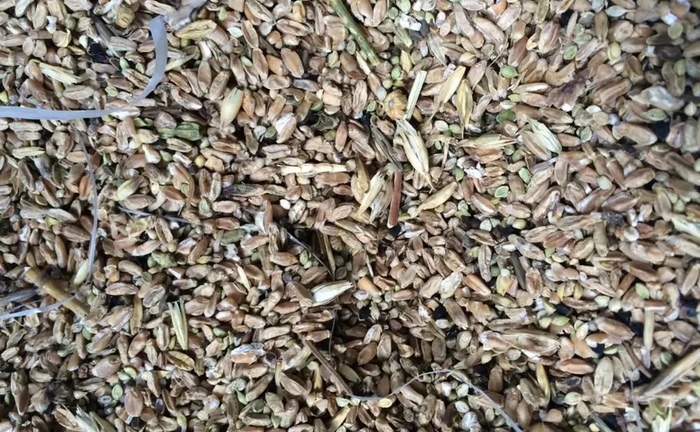 Зерновідходи на постійній основі. Цікавлять: Лушпиння проса, соняшника, рису. Висівки, мучка. Інші зерновідходи.