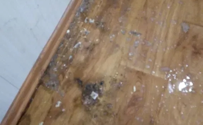 Чи не Фірма Прибирання квартир! Чи не Фірма Прибирання квартир!