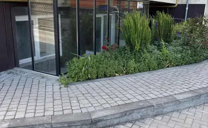 Цокольне нежитлове приміщення 145 кв.м. в 9ти поверхн. домі Цокольне нежитлове приміщення 145 кв.м. в 9ти поверхн. домі