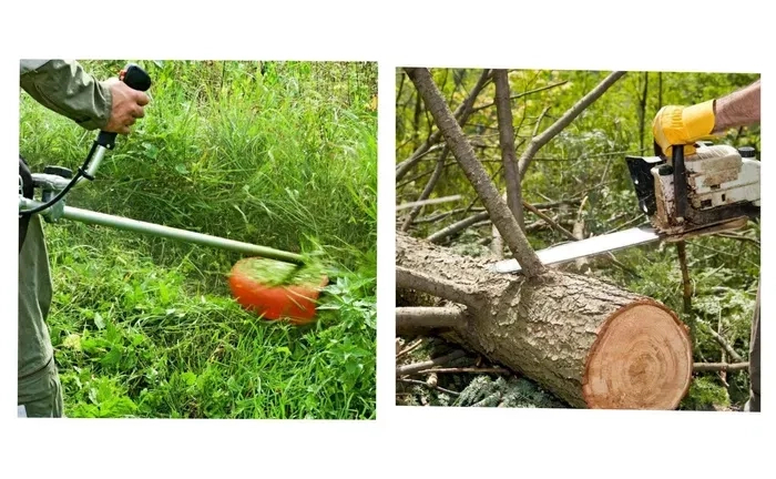 Покіс трави /Обрізка/спил дерева/оприскування / договоримся Покіс трави /Обрізка/спил дерева/оприскування / договоримся