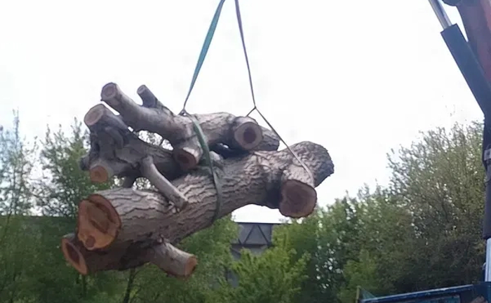 Послуги пилорами, розпилювання лісу Послуги пилорами, розпилювання лісу