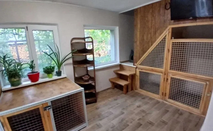 Домашній готель для собак Villa Esenia. Найкраще місце для ваших улюбленців. Домашній готель для собак Villa Esenia. Найкраще місце для ваших улюбленців.