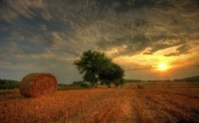 Прес-підбирач для тюкування сіна та соломи (круглі й квадратні тюки) Прес-підбирач для тюкування сіна та соломи (круглі й квадратні тюки)