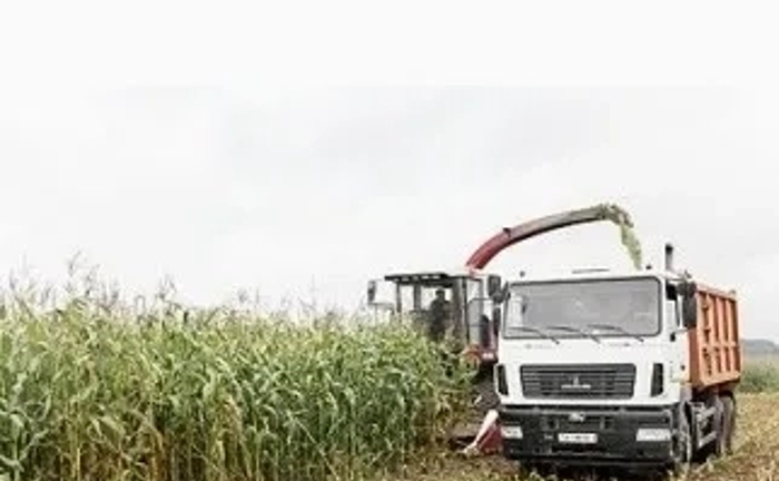 Збирання сінажу на силос, підбір трави комбайном Claas Jaguar 980 Збирання сінажу на силос, підбір трави комбайном Claas Jaguar 980